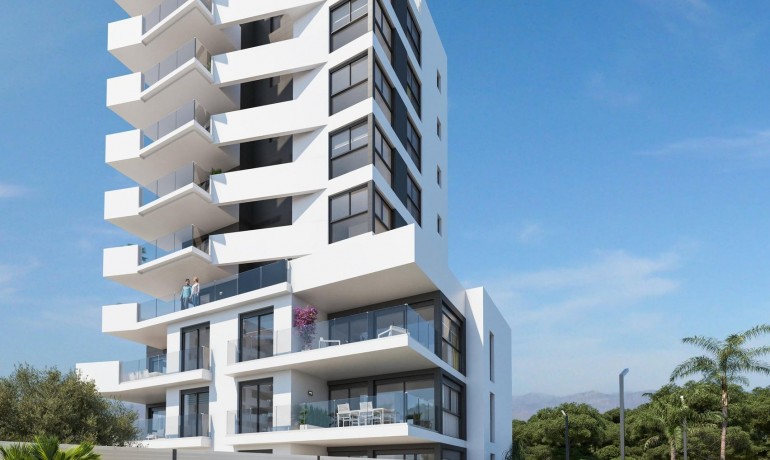 Apartment / flat - New Build - Guardamar del Segura -
                puerto deportivo