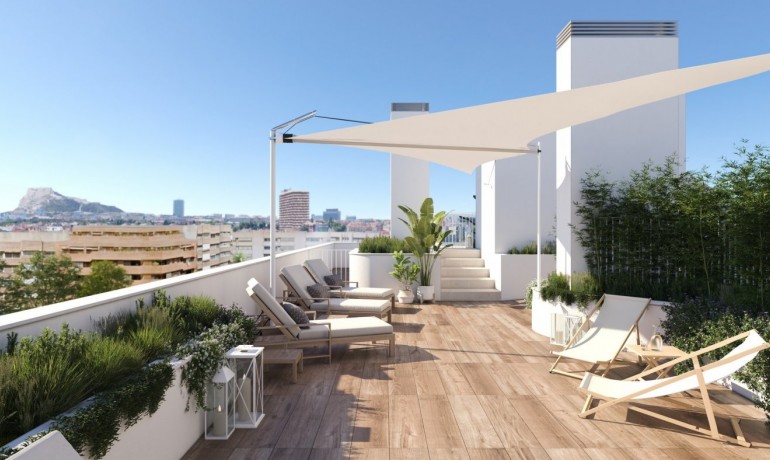 Apartamento / piso - Nueva construcción  - Alicante -
                Centro