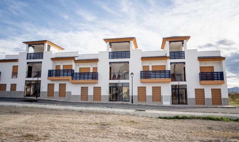 Apartamento / piso - Nueva construcción  - Cuevas Del Almanzora -
                Herrerias