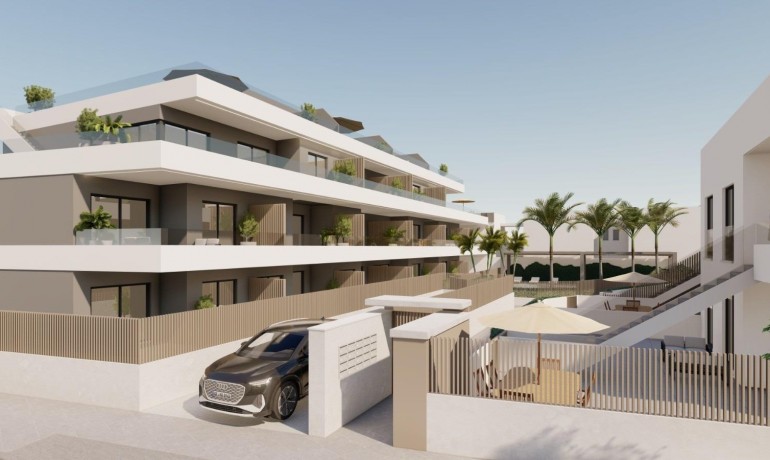 Apartamento / piso - Nueva construcción  - Pilar de La Horadada -
                pueblo