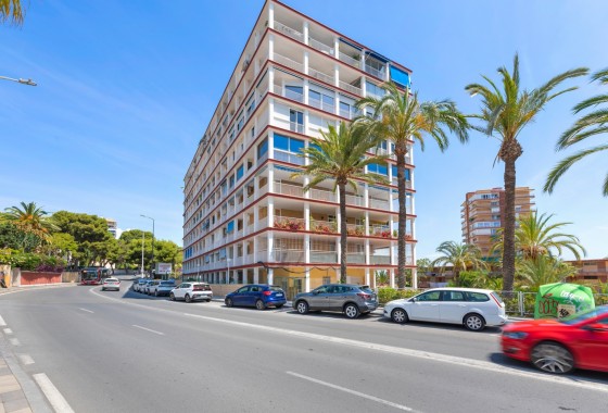 Apartamento / piso - Venta - Alicante - Alicante