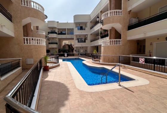 Apartamento / piso - Venta - Jacarilla - Jacarilla