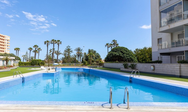 Apartamento / piso - Venta - La Mata -
                Playa