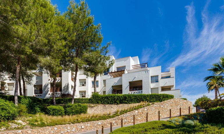 Apartamento / piso - Venta - Las Colinas -
                Las Colinas