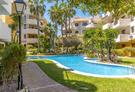 Apartamento / piso - Venta - Punta Prima - Punta Prima