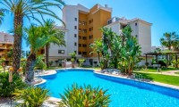 Apartamento / piso - Venta -
            Punta Prima - VC-96908