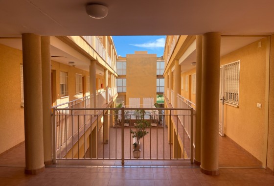 Apartamento / piso - Venta - Rafal - Rafal