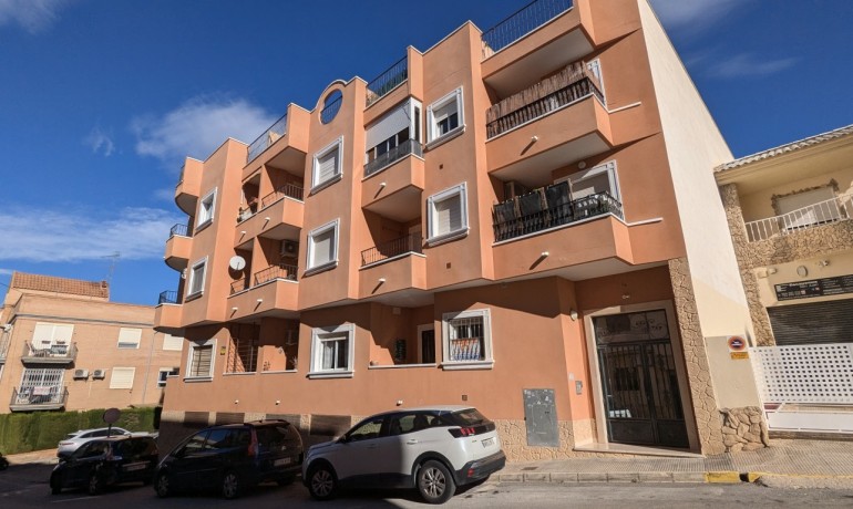 Apartamento / piso - Venta - San Miguel de Salinas -
                San Miguel de Salinas