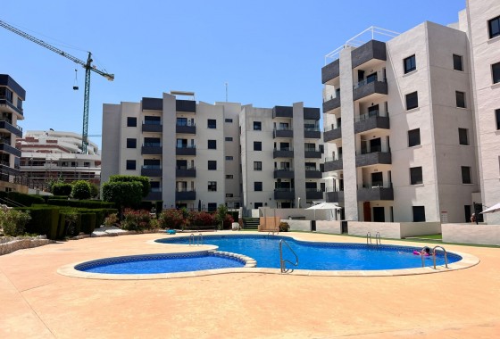 Apartamento / piso - Venta - San Miguel de Salinas - San Miguel Salinas