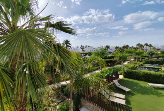 Apartamento / piso - Venta - Vistabella Golf - Vistabella Golf