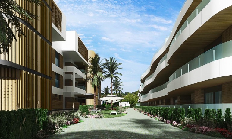 Apartment / Flat - New Build - Orihuela Costa -
                Playa Flamenca