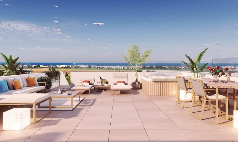 Apartment / Flat - New Build - Pilar de la Horedada* -
                Pilar de la Horedada*