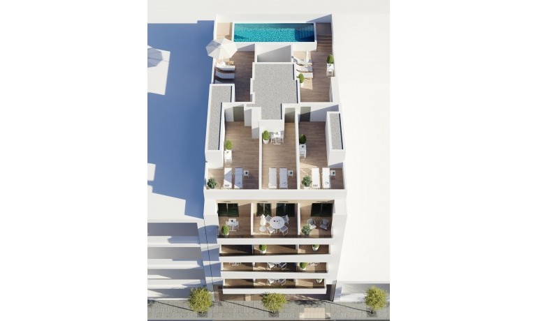 Apartment / Flat - New Build - Torrevieja* -
                Centro