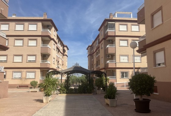Apartment / Flat - Sale - Algorfa* - Algorfa