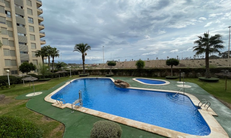 Apartment / Flat - Sale - Guardamar del Segura -
                Alicante