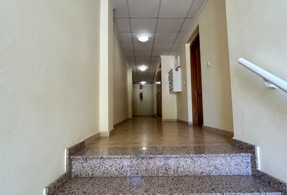 Apartment / Flat - Sale - Jacarilla - pueblo