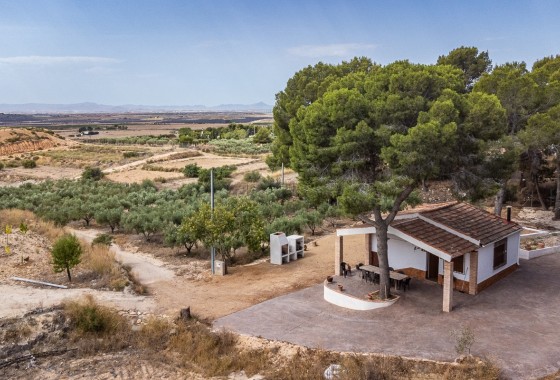 Apartment / Flat - Sale - LA TERCIA - La Tercia
