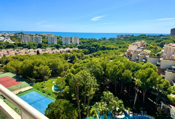 Apartment / Flat - Sale - Orihuela Costa - Campoamor