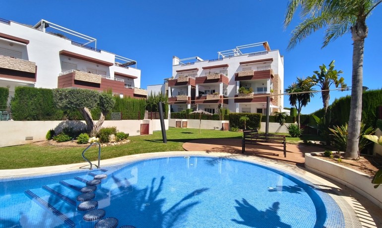 Apartment / Flat - Sale - Orihuela Costa* -
                La Ciñuelica