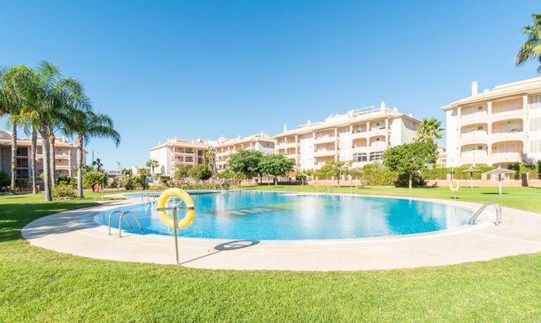 Apartment / Flat - Sale - Orihuela Costa -
                Playa Flamenca