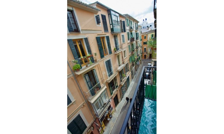 Apartment / Flat - Sale - Palma -
                Centre