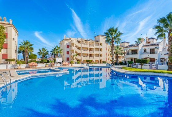 Apartment / Flat - Sale - Playa Flamenca - Playa Flamenca