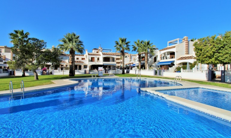 Apartment / Flat - Sale - Playa Flamenca -
                Playa Flamenca