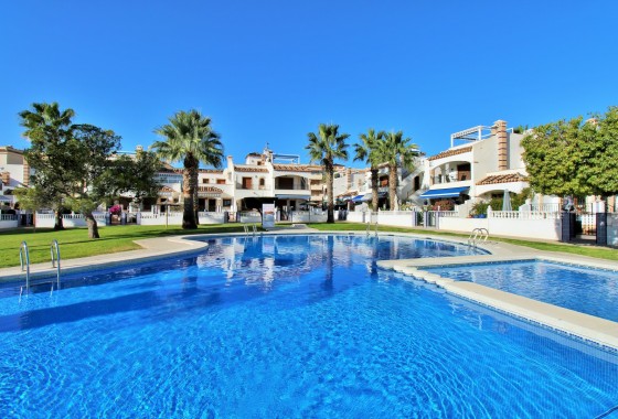 Apartment / Flat - Sale - Playa Flamenca - Playa Flamenca