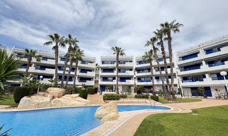 Apartment / flat - Sale - Playa Flamenca -
                Playa Flamenca
