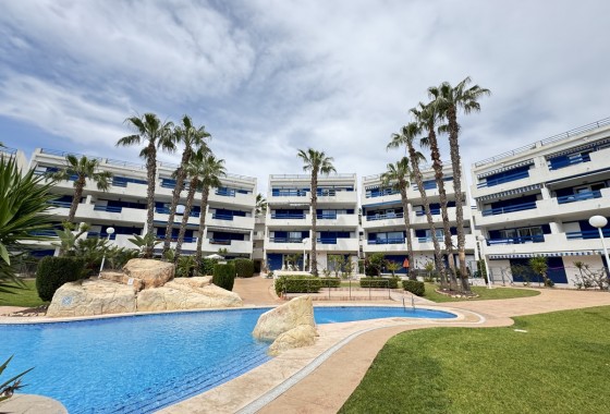 Apartment / flat - Sale - Playa Flamenca - Playa Flamenca