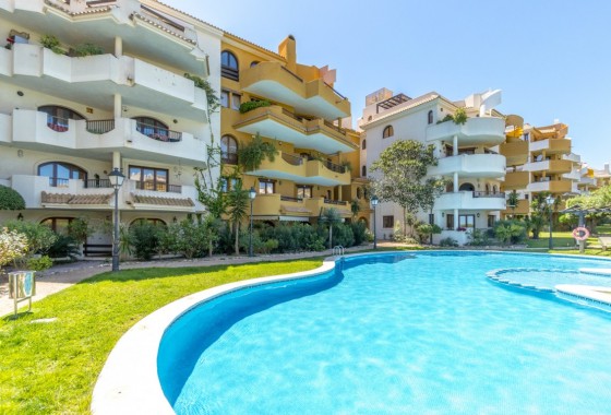 Apartment / Flat - Sale - Punta Prima* - Punta Prima