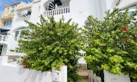 Apartment / Flat - Sale -
            San Miguel de Salinas* - UR-99368