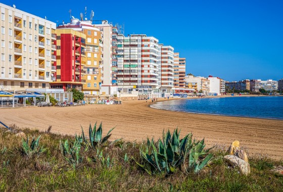Apartment / Flat - Sale - Torrevieja* - Acequion