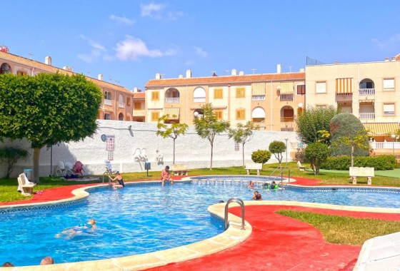 Apartment / Flat - Sale - Torrevieja* - Acequion*