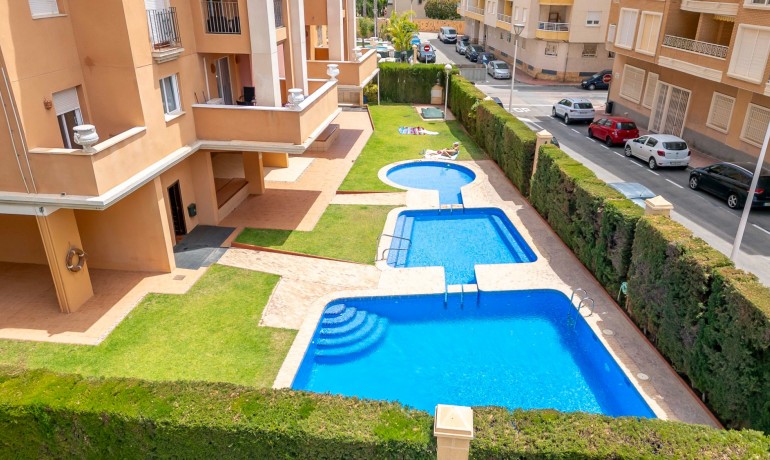 Apartment / flat - Sale - Torrevieja -
                Aldea del mar
