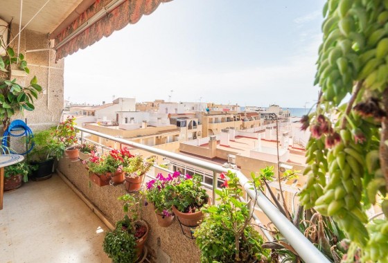 Apartment / Flat - Sale - Torrevieja* - Curva del Palangre