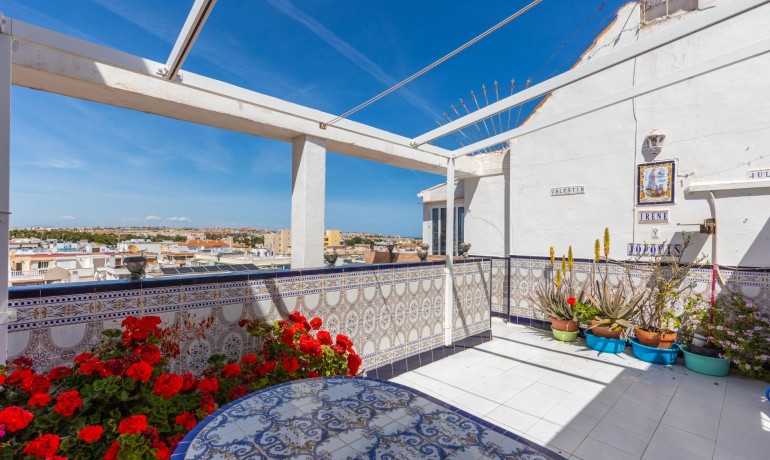 Apartment / Flat - Sale - Torrevieja* -
                Playa del cura