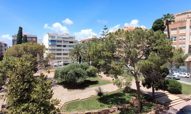 Apartment / Flat - Sale - Torrevieja -
                Playa Del Cura