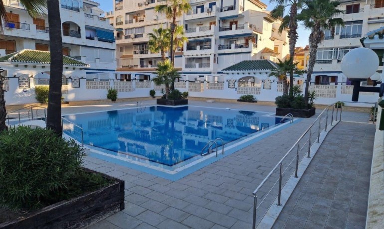 Apartment / Flat - Sale - Torrevieja -
                Torre La Mata