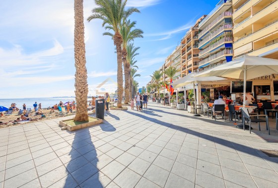 Apartment / Flat - Sale - Torrevieja* - Torrevieja