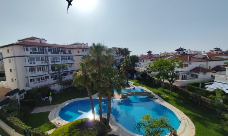 Apartment / Flat - Sale - Torrevieja* -
                Torrevieja