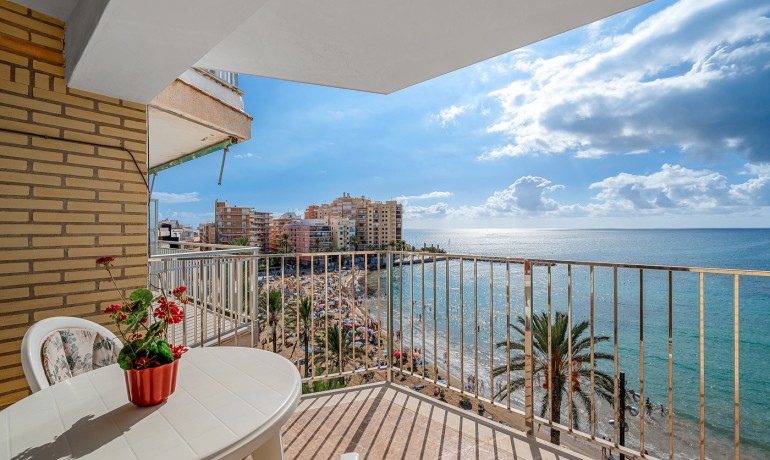 Apartment / Flat - Sale - Torrevieja* -
                Torrevieja