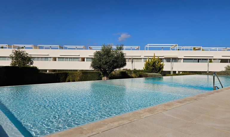 Apartment / Flat - Sale - Torrevieja -
                Torrevieja