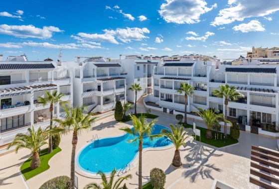 Apartment / Flat - Sale - Torrevieja* - Torrevieja*