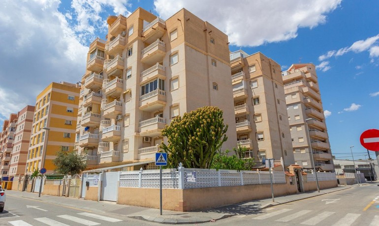 Apartment / flat - Sale - Torrevieja -
                Torrevieja