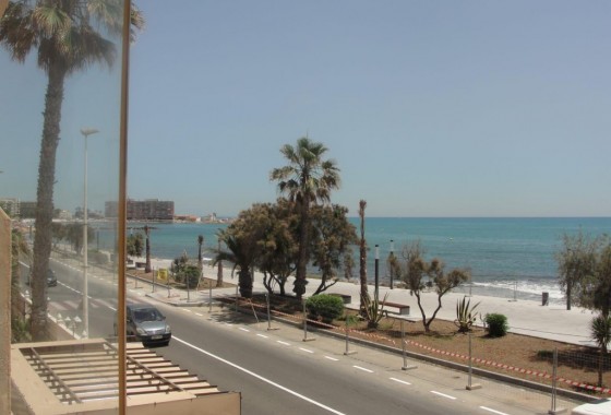 Apartment / Flat - Sale - Torrevieja* - Torrevieja*