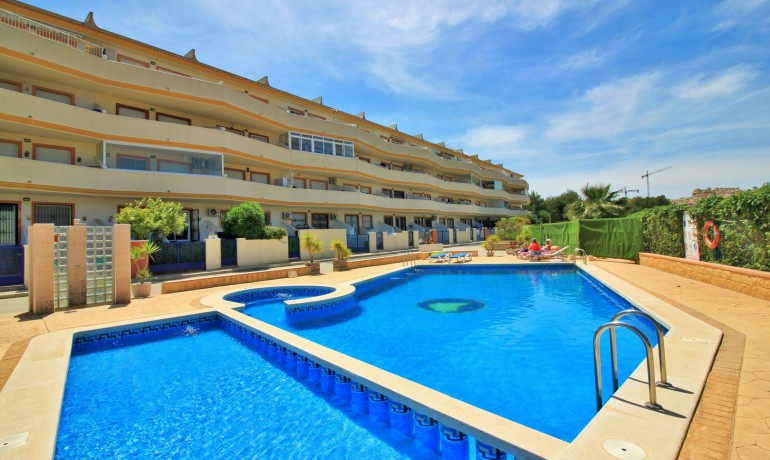 Apartment / Flat - Sale - Villamartin -
                Villamartin