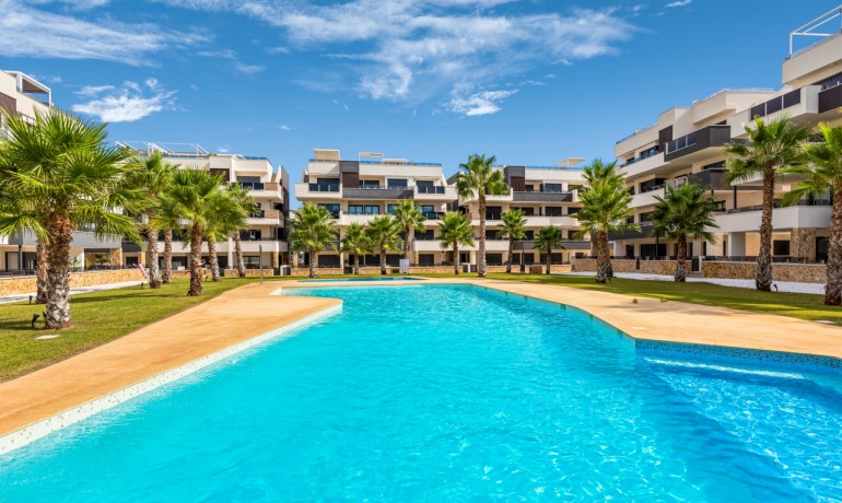 Apartment / Flat - Sale - Villamartin -
                Villamartin