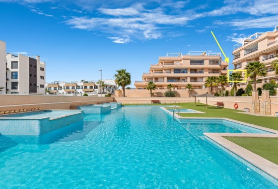 Apartment - Sale - Orihuela Costa* - Villamartin*