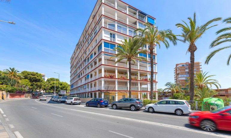 Appartement / Flat - Herverkoop - Alicante* -
                Alicante